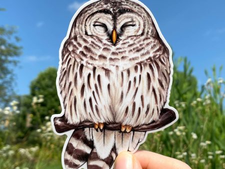 Cozy Barred Owl Sticker For Sale