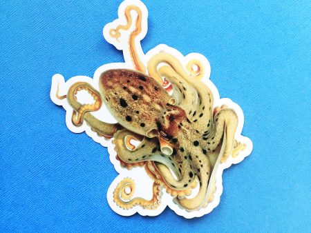 Vintage Octopus Sticker Online Sale