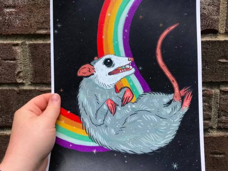 Rainbow  Possum Print (8 x10 ) Supply