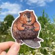 American Beaver Weatherproof Vinyl Sticker Discount