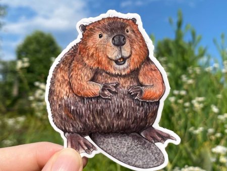 American Beaver Weatherproof Vinyl Sticker Discount