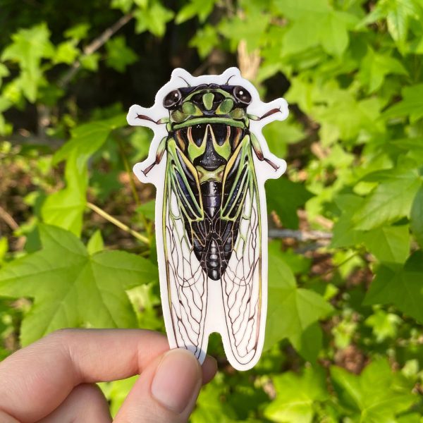 Linne s Cicada Vinyl Sticker (green) Online Hot Sale