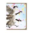 Canada Geese Greeting Card For Sale