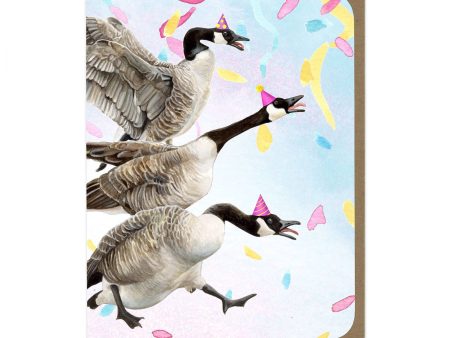 Canada Geese Greeting Card For Sale