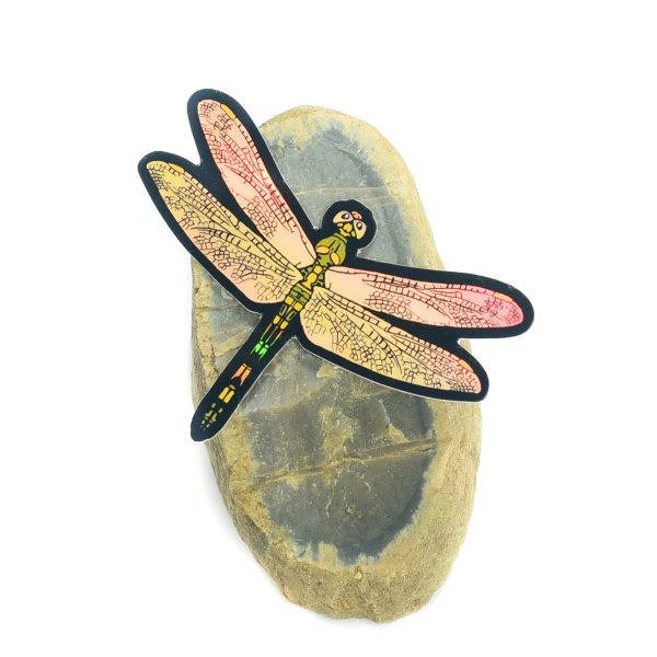 Holographic Dragonfly Sticker Online Hot Sale