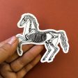 Skeleton Horse Sticker Hot on Sale