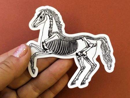 Skeleton Horse Sticker Hot on Sale