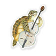 Sea Turtle Bassist Sticker Online now