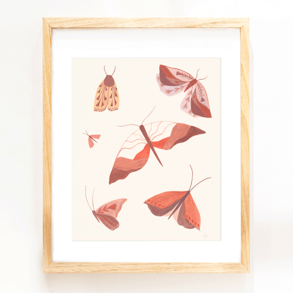 Moth Study Print (8x10) Fashion